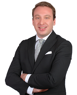 H. Berkehan Bayraktar